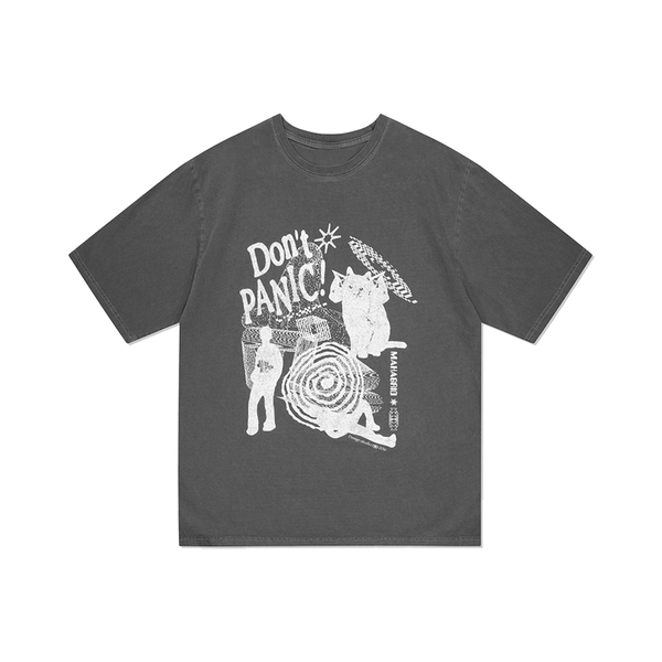 SEVENTEEN JEONGHAN DON'T PANIC GREY T-SHIRT – IDOLS FASHION